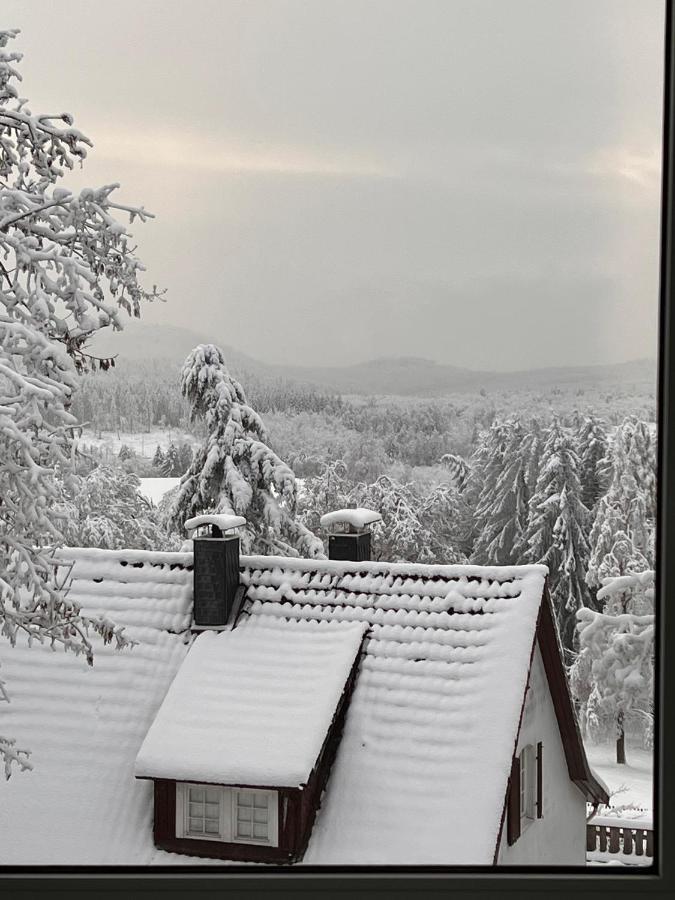 Chalet627 Braunlage Esterno foto