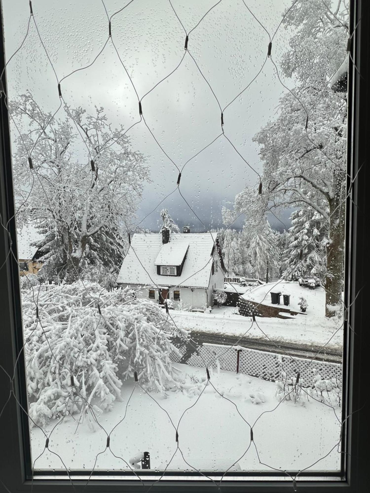 Chalet627 Braunlage Esterno foto